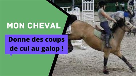 porno cheval|La perverse châtelaine dans l'écurie du sexe .